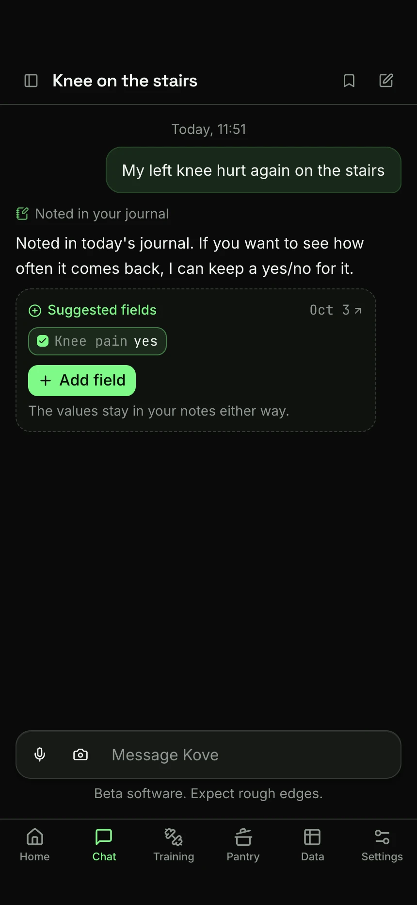 Kove answering “My left knee hurt again on the stairs”: it noted the line in the journal and offers a new yes/no field, Knee pain, with an Add field button.